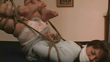 בראז'רים: קרם sex חינם חתונות פייטון פרסלי בפורנו-HD