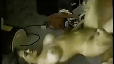 ציצי הדמעה סקס חינם ללא תשלום היפים של אוולין