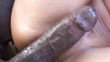 Brazzers: סרטים חינם סקס Bagain Humping עם Taylee Wood בפורנו-HD