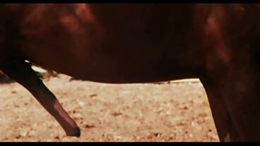 צעירה סרטי פורנו חינם לוהטת במדים חושפת את הכוס המגולח שלה ולוקחת גמר